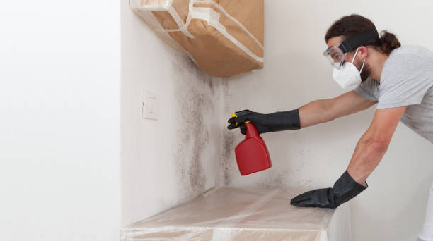 Professional Crawl Space Mold Remediation technician working in Harbor Springs, MI